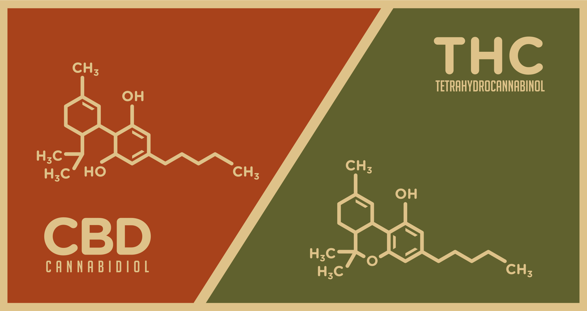 The Michigan Dispensary Guide To Understanding CBD & THC Ratios ...