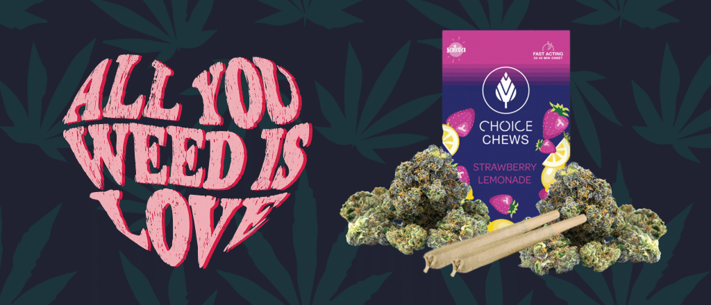 All You Weed is Love Timber February Bundle