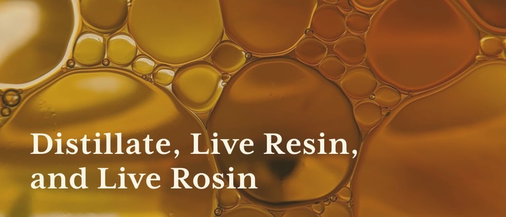 What's the difference between distillate, live resin, and live rosin?