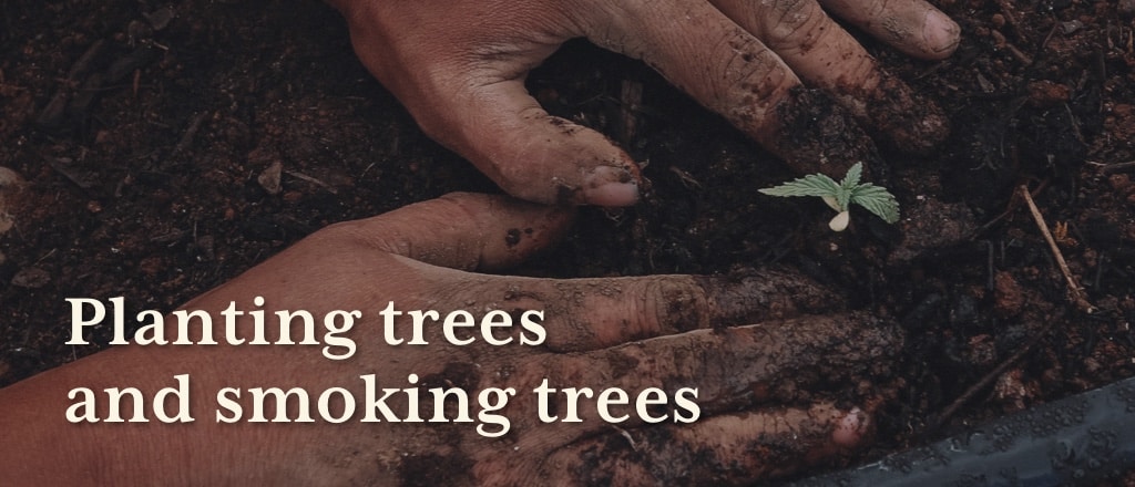 Dirty hands planting. Text "Planting trees and smoking trees"