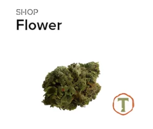 cannabis flower at Timber dispensary