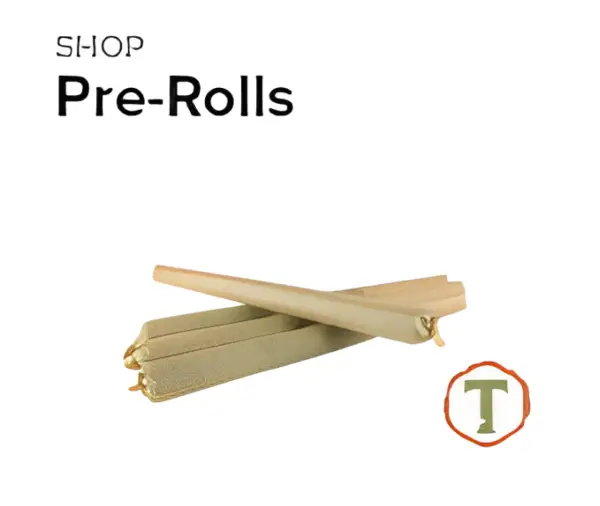 cannabis prerolls at Timber dispensary