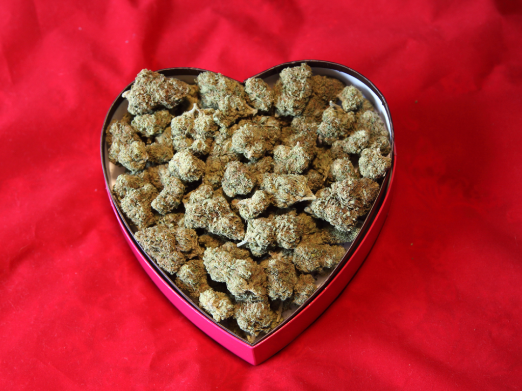 heart shaped candy box with filled with cannabis