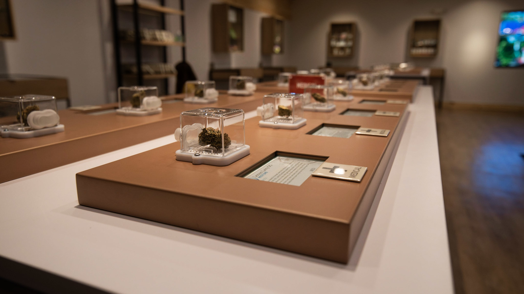 Welcome to Timber Cannabis Company Marijuana Dispensary. Timber is an expression of our hard-working roots and love for the community. We grew up surrounded by open space, where visiting your neighbor for a cup of sugar is the norm, and enjoying good times and laughter at day’s end is the rule.

We’ve sown our midwestern values into the seeds of Timber Cannabis Co. provisioning centers. Step away from the grind and relax today, so you can be your best tomorrow.