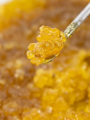 Concentrate_300x400_v2